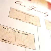 Genealogy Family Tree Female Maiden Name